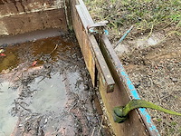 Container - afbeelding 4 van  13