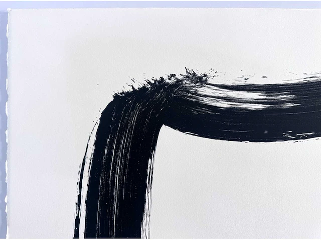 Cornelius rogge - zeefdruk - 50x65cm - 1990 - afbeelding 3 van  6
