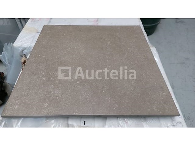 Cotte d'este italiaanse high end keramische tegel porcellanato d'elite 60 x 60 x 1,2 (30,24 m2) - afbeelding 4 van  7