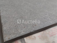 Cotte d'este italiaanse high end keramische tegel porcellanato d'elite 60 x 60 x 1,3(25,95 m2) - afbeelding 5 van  7