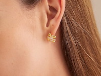 C.paravano gouden oorbellen - afbeelding 4 van  4