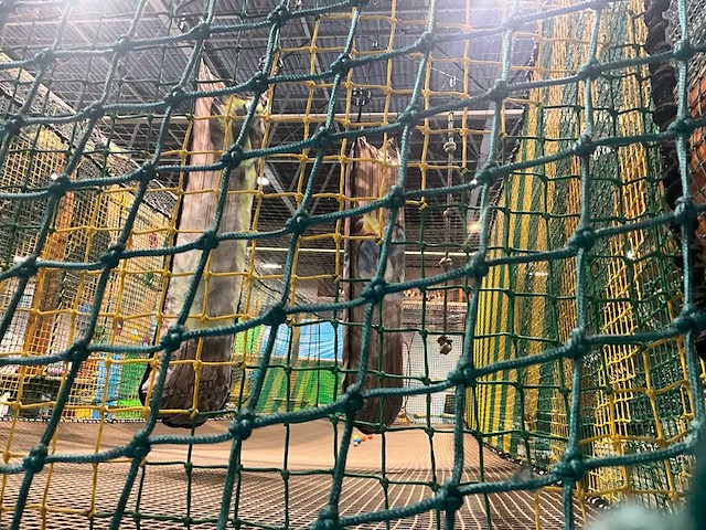 Creajeu klimparcour/trampoline - afbeelding 19 van  29