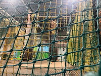 Creajeu klimparcour/trampoline - afbeelding 19 van  29