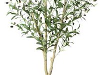 Crosofmi kunstmatige olijfboom - afbeelding 1 van  4