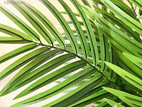 Crosofmi kunstplant - afbeelding 2 van  5