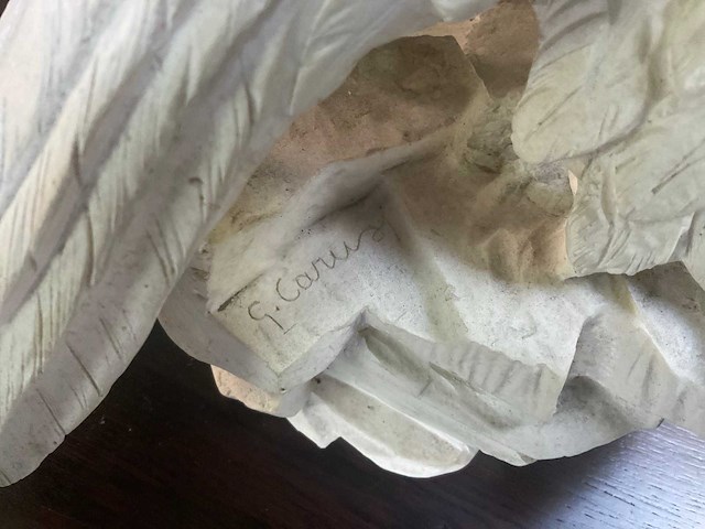 Curiosia - afbeelding 4 van  4