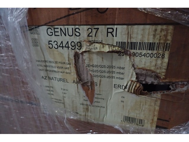 Cv ketel genus - afbeelding 3 van  3