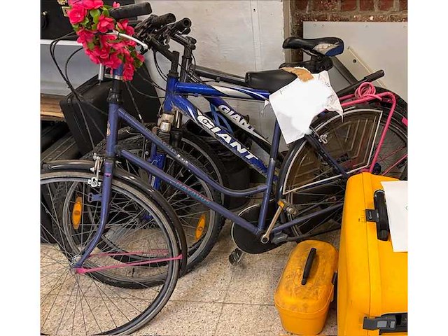 Cycling (3x) - afbeelding 1 van  3