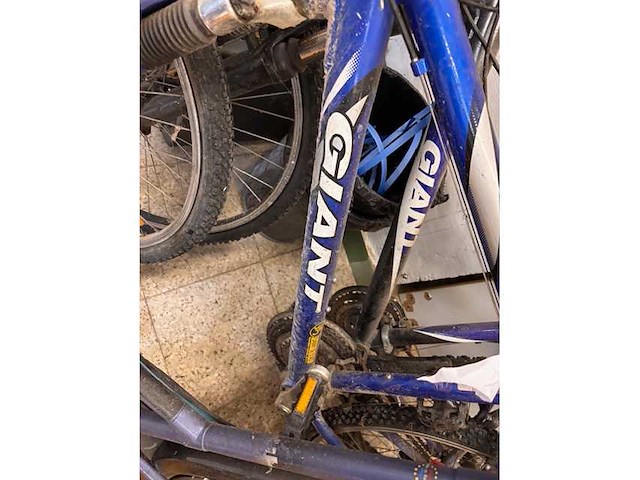 Cycling (3x) - afbeelding 3 van  3