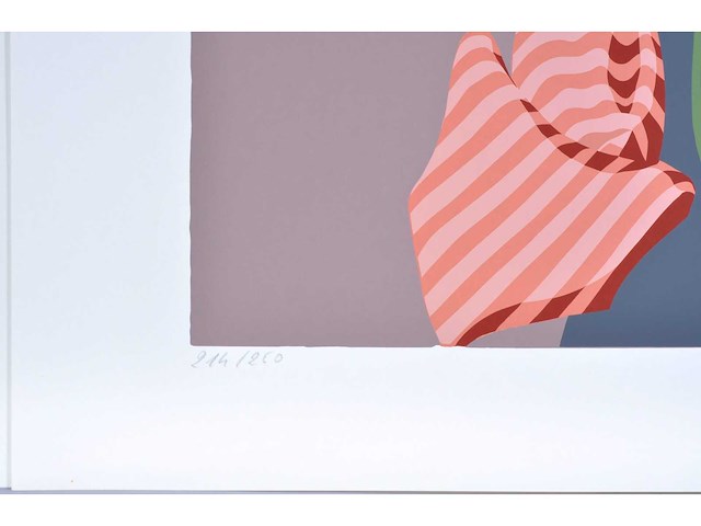 Cyr frimout - kleurenzeefdruk - afbeelding 3 van  7