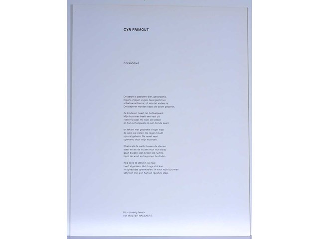 Cyr frimout - kleurenzeefdruk - afbeelding 1 van  1