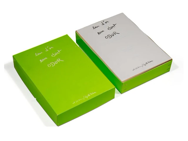 Cyrille putman (1962), 'eau d'or, eau dort, odor', storyboard containing 365 prints with works by fabrice hyber (1961), 1997, edition of 6000 examples - afbeelding 1 van  10