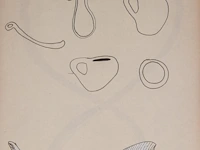 Cyrille putman (1962), 'eau d'or, eau dort, odor', storyboard containing 365 prints with works by fabrice hyber (1961), 1997, edition of 6000 examples - afbeelding 8 van  10