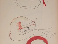 Cyrille putman (1962), 'eau d'or, eau dort, odor', storyboard containing 365 prints with works by fabrice hyber (1961), 1997, edition of 6000 examples - afbeelding 9 van  10