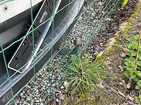 Dacia dokker bedrijfswagen - afbeelding 2 van  19