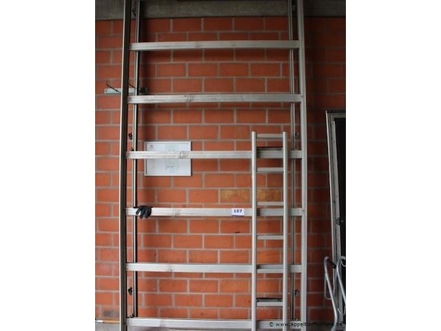 Dakrek plus zijladder - afbeelding 1 van  2