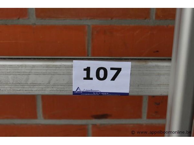 Dakrek plus zijladder - afbeelding 2 van  2