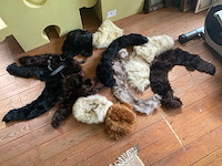 Damesaccessoires - afbeelding 1 van  2