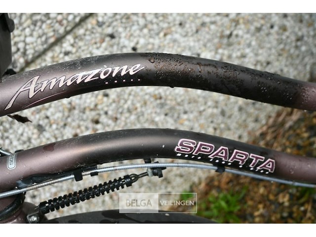 Damesfiets amazone sparta - afbeelding 3 van  3