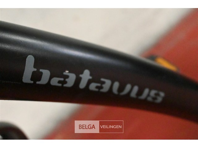 Damesfiets batavus - afbeelding 3 van  3