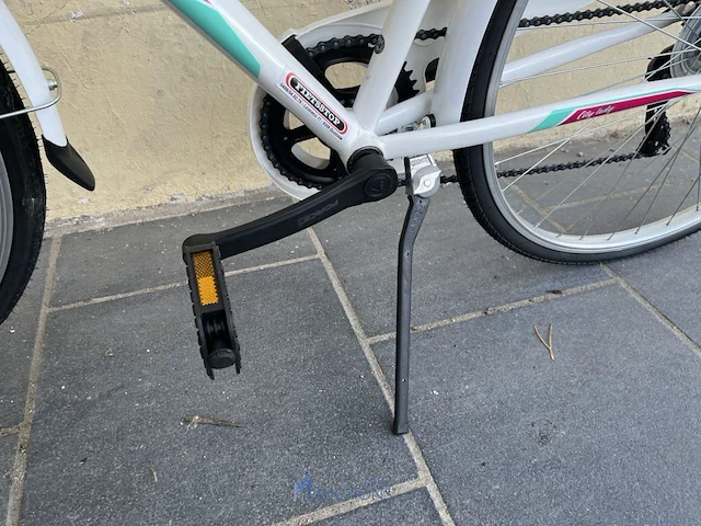 Damesfiets esperia city lady - afbeelding 8 van  11