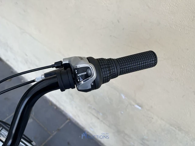 Damesfiets esperia city lady - afbeelding 10 van  11