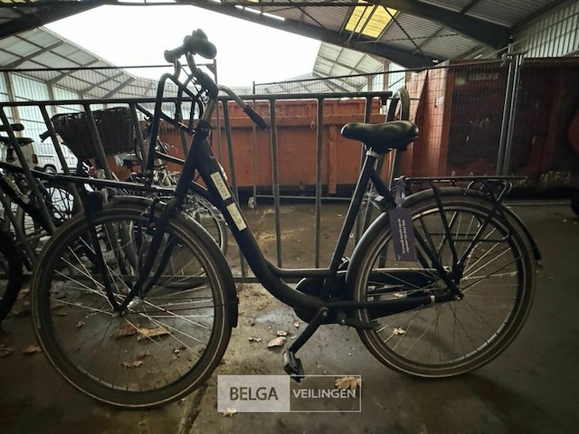 Damesfiets - afbeelding 1 van  1