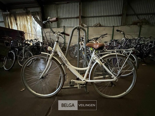 Damesfiets - afbeelding 1 van  1