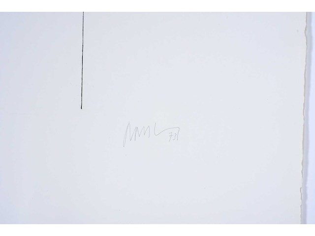 Dan van severen - ets - afbeelding 3 van  6