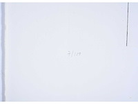 Dan van severen - ets - afbeelding 4 van  6