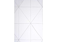 Dan van severen - geometrisch abstracte compositie - kleurenzeefdruk - 1976 - afbeelding 7 van  8
