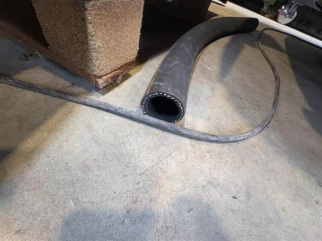 Darm - afbeelding 2 van  3