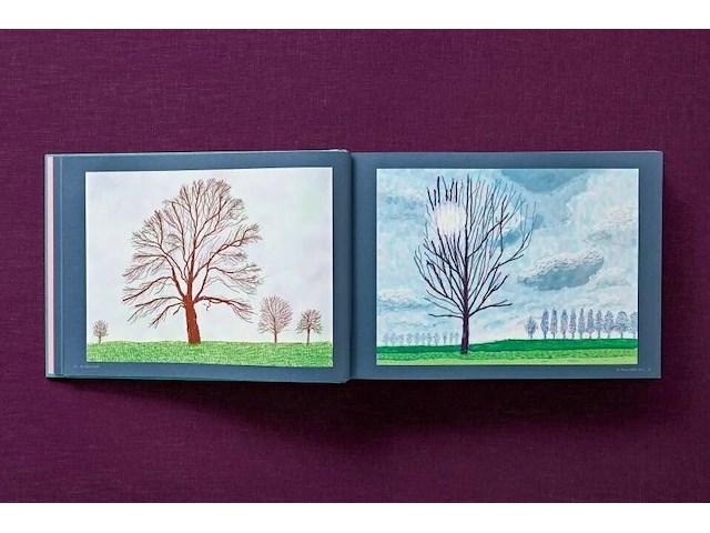 David hockney - 220 for 2020 - afbeelding 3 van  3