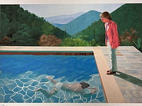 David hockney - afbeelding 2 van  5