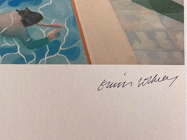 David hockney - afbeelding 3 van  5