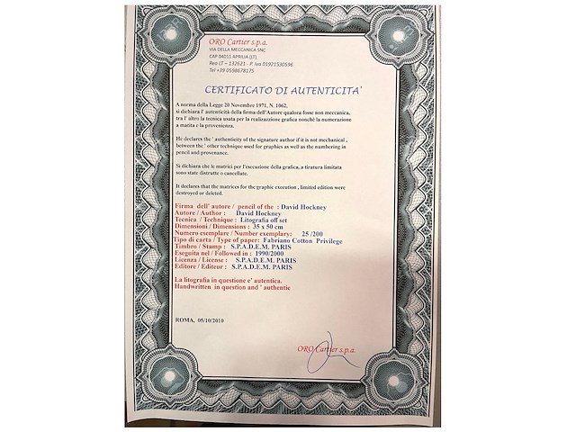 David hockney - afbeelding 5 van  5