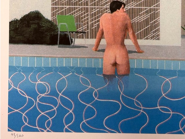 David hockney - afbeelding 2 van  3