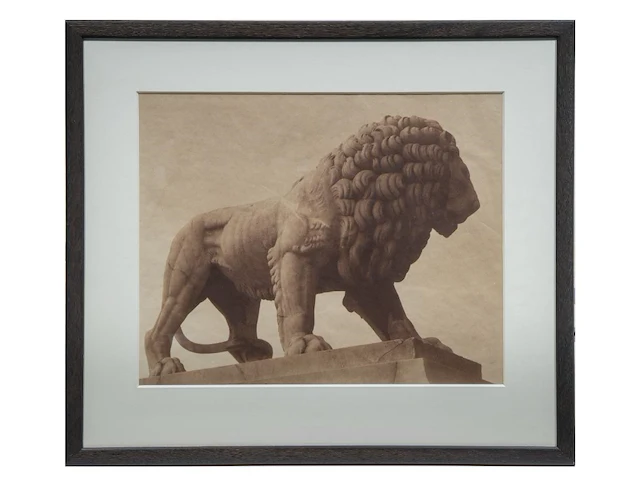 David mcdermott (1952) and peter mcgough (1958), the guardian lion of tuileries gardens in paris, print - afbeelding 2 van  4