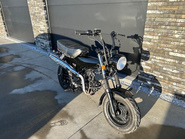 Daxx blurox heritage 50 - afbeelding 5 van  11