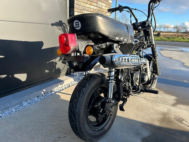 Daxx blurox heritage 50 - afbeelding 6 van  11