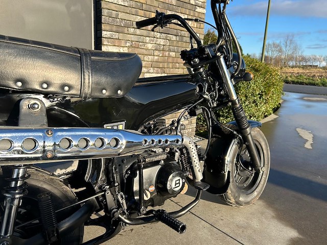 Daxx blurox heritage 50 - afbeelding 7 van  11