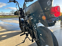 Daxx blurox heritage 50 - afbeelding 8 van  11