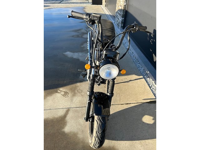 Daxx blurox heritage 50 - afbeelding 9 van  11