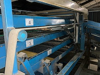 De bruyne aardappelkalibreer- en sorteerlijn met bufferbunker, transportbanden en verdeelmodule aardappelopslagtechniek - afbeelding 17 van  32
