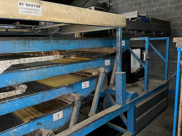 De bruyne aardappelkalibreer- en sorteerlijn met bufferbunker, transportbanden en verdeelmodule aardappelopslagtechniek - afbeelding 6 van  32