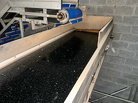 De bruyne aardappelkalibreer- en sorteerlijn met bufferbunker, transportbanden en verdeelmodule aardappelopslagtechniek - afbeelding 9 van  32