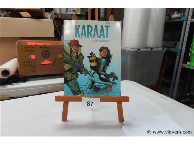 De doodskist van ijs - afbeelding 1 van  2