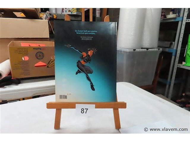 De doodskist van ijs - afbeelding 2 van  2