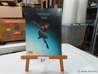 De doodskist van ijs - afbeelding 2 van  2