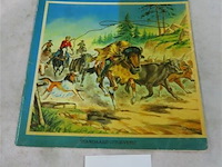 De eenzame bizon - afbeelding 1 van  3